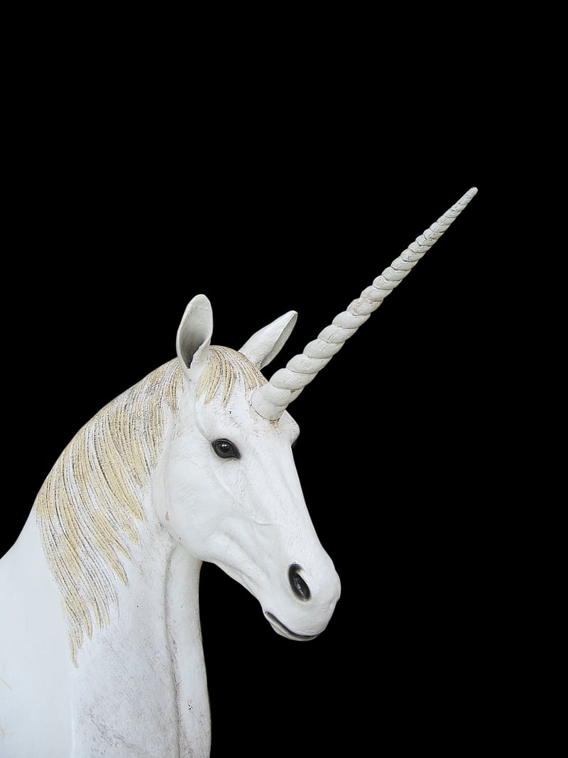Unicorn Paradise