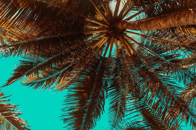 Serene Haven Island